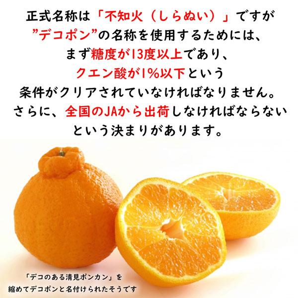 【雪うさぎ】不知火（デコポン）4Kg×２箱　　【２箱縛りでの発送】 デコポン 有田 不知火 みかん 4kg以上 (5kg箱) 秀品 茶段ボール箱 3L