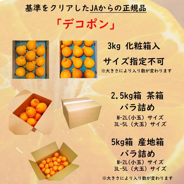 蔵出しデコポン(不知火)Ｌサイズ秀品　箱込み10kg弱　5kg弱箱2箱 みかん 不知火 デコポン 10kg 訳あり 家庭用 送料無料 熊本産 サイズM