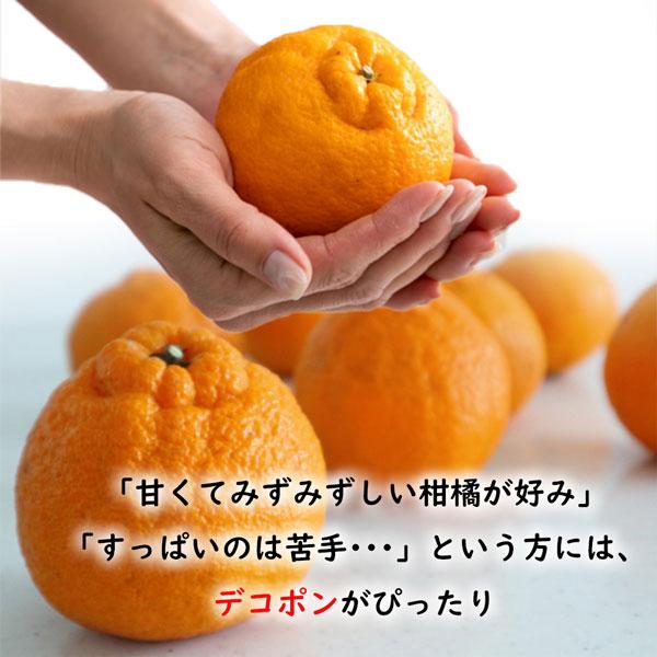 蔵出しデコポン(不知火)Ｌサイズ秀品　箱込み10kg弱　5kg弱箱2箱 みかん 不知火 デコポン 10kg 訳あり 家庭用 送料無料 熊本産 サイズM
