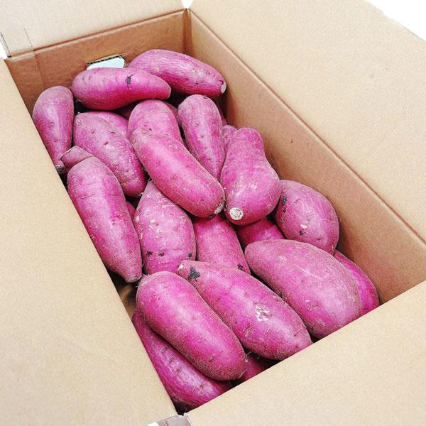 紅はるか さつまいも 5kg M-2Lサイズ10-47本入 ご家庭用 熊本県/茨城県