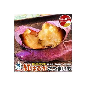 紅はるか さつまいも 5kg M-2Lサイズ10-47本入 ご家庭用 熊本県/茨城県