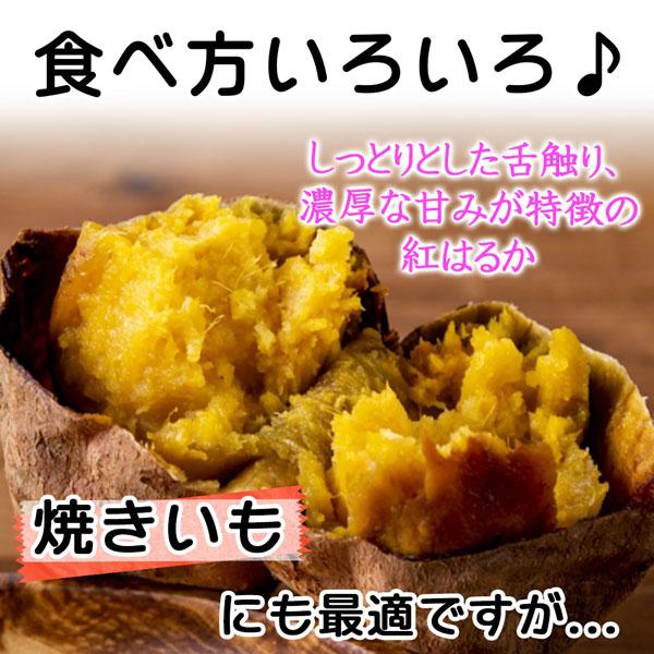 紅はるか さつまいも 5kg M-2Lサイズ10-47本入 ご家庭用 熊本県/茨城県