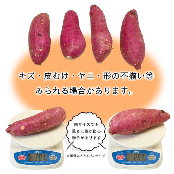 紅はるか さつまいも 5kg M-2Lサイズ10-47本入 ご家庭用 熊本県/茨城県