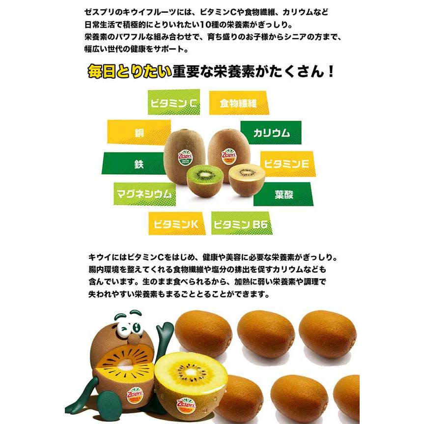 キウイフルーツ 約6kg サンゴールド 大箱37-59玉入 クール便指定 Zespri Kiwi Fruit ニュージーランド産 送料無料｜gift-hiroba｜04