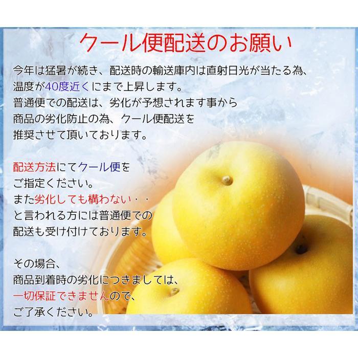 なし 早期 予約品 鳥取県産 梨 新甘泉梨 訳アリ 5kg 6〜20玉入り 糖度14度前後 家庭用 しんかんせん 送料無料｜gift-hiroba｜04