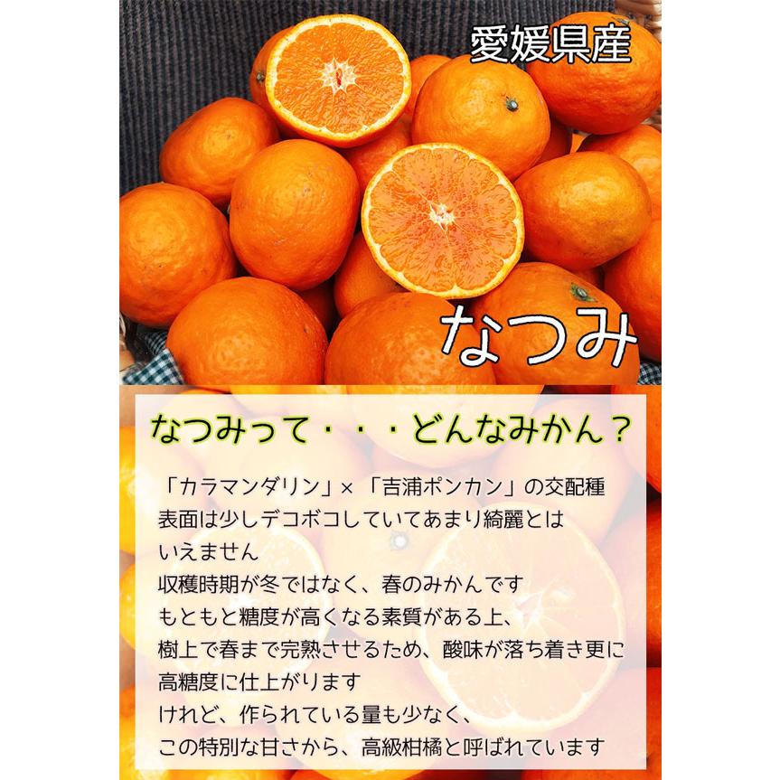 なつみ みかん 訳あり 2.5kg Lサイズ 愛媛県産 高糖度 柑橘 シーズン最後の甘い系みかん 果物 フルーツ 家庭用ギフト プレゼント 送料無料｜gift-hiroba｜02