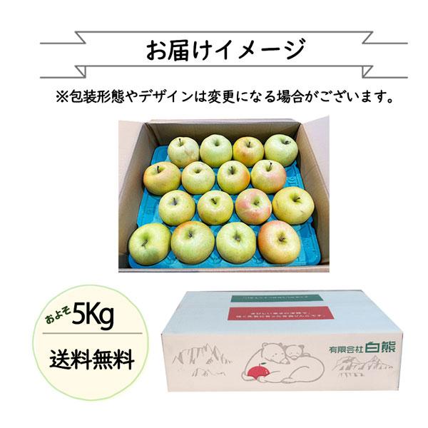 訳あり 青森県産 トキ りんご 約 5kg ご家庭用 サイズ大小お任せ 希少品種 ご家族用 フルーツ 果物 お試し 傷あり スレあり Toki ...