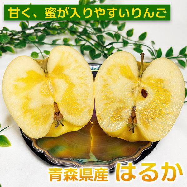 はるかりんご贈答用小玉　5キロ箱 2箱セット 楽天市場】【あす楽】青森 りんご 贈答用 はるか 5kg箱 【送料無料