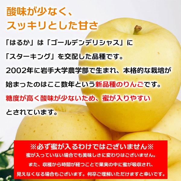 はるかりんご贈答用小玉　5キロ箱 2箱セット 楽天市場】【あす楽】青森 りんご 贈答用 はるか 5kg箱 【送料無料