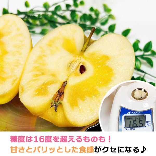 青森 蜜入り はるか りんご 5kg 箱 訳あり 青森県産 ご家庭用 サイズお