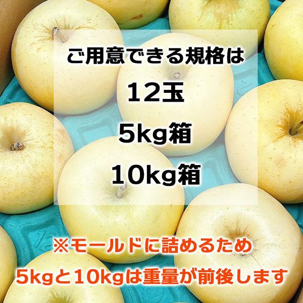 青森 蜜入り はるか りんご 5kg 箱 訳あり 青森県産 ご家庭用 サイズお