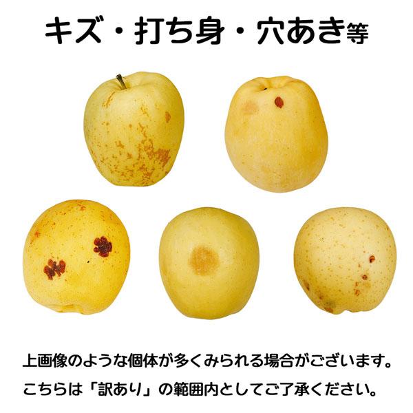 青森 蜜入り はるか りんご 5kg 箱 訳あり 青森県産 ご家庭用 サイズお