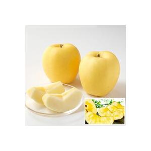 青森 蜜入り はるか りんご 10kg 箱 訳あり 青森県産 ご家庭用 サイズ