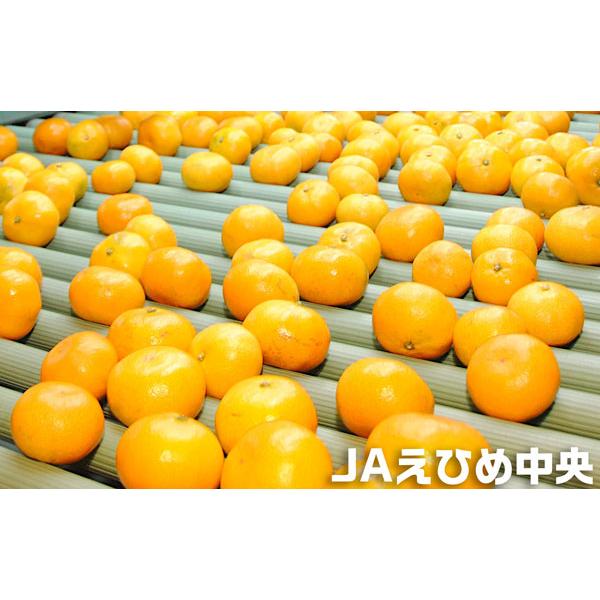果物 yen Morinaga Seika Premium Hi-Chew Lemon (森永製菓 すッパイチュウ