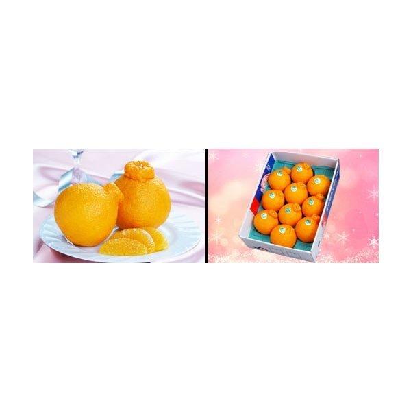 ◯超お得な18kg 熊本産不知火デコポン 味恋みかん 高級 デコポン みかん 不知火 2kg 6-8個 贈答用 ギフト 熊本県産