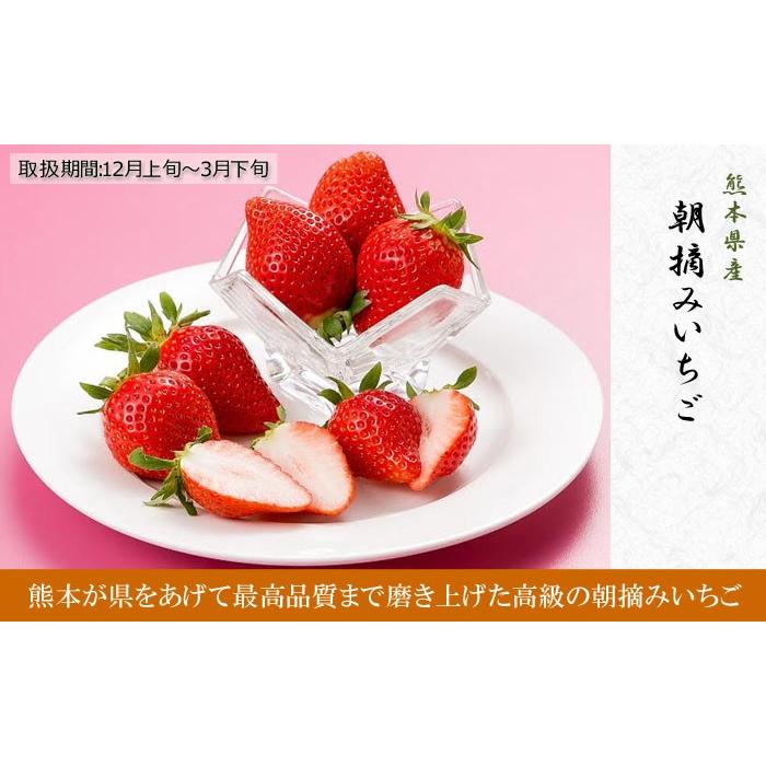 朝摘み いちご ひのしずく ゆうべに 紅ほっぺ等 約300g 4パック 合計1 2kg 家庭用ギフト 熊本県産 3月末まで 送料無料 ギフト広場 通販 Paypayモール