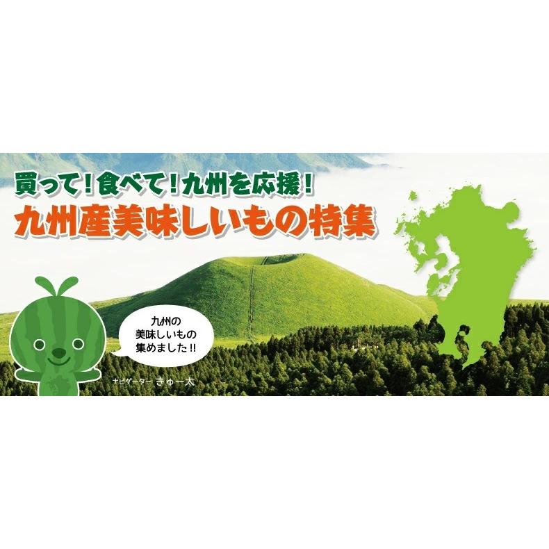 スイカ 熊本県産 すいか Lサイズ 6キロ 1玉 敬老の日 感謝 プレゼント化粧箱入り　贈答用 ギフト ありがとう プレゼント イベント 熨斗 送料無料｜gift-hiroba｜02