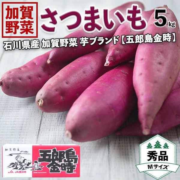 さつまいも 五郎島金時 5kg 約18 22本入り 等級 翌日発送可能