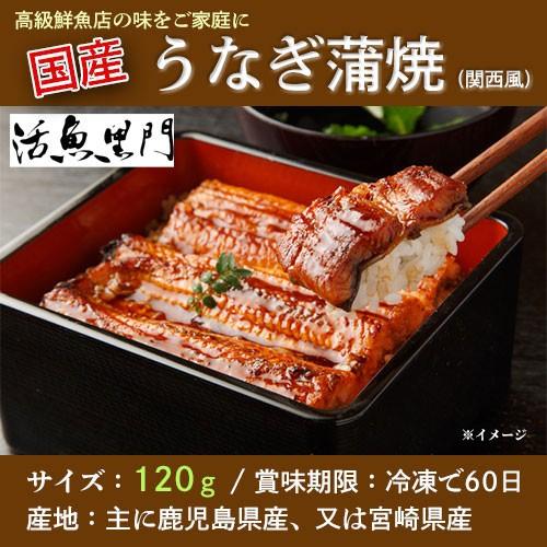 国産 うなぎ蒲焼き 関西風 九州 鹿児島県産 又は宮崎県産 1g 家庭用 ギフト お中元 賞味期限 冷凍で60日 ギフト広場 通販 Paypayモール