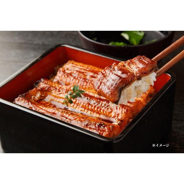 国産 うなぎ蒲焼き 2枚セット関西風 九州 鹿児島県産 又は宮崎県産 1g 2枚 合計240g 家庭用 ギフト 送料無料 ギフト広場 通販 Paypayモール