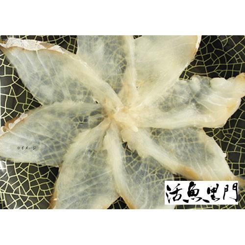 福岡県、長崎県産【クエ刺身】40g (冷凍) お刺身用・ギフト・お中元でもOK|gift-hiroba|02