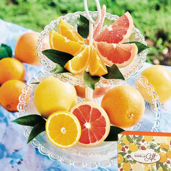 パイナップル シトラス ミックス クラシック フルーツ箱入り オレンジグレープフルーツ パイナップル 他 ギフト 送料無料 ギフト広場 通販 Paypayモール