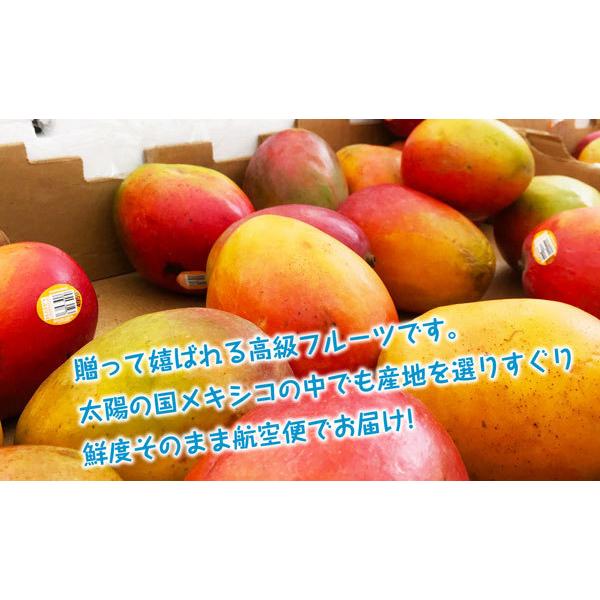 そのまま アップルマンゴー マンゴー ギフト 送料無料 k ギフト広場 通販 Paypayモール 6個 メキシコ