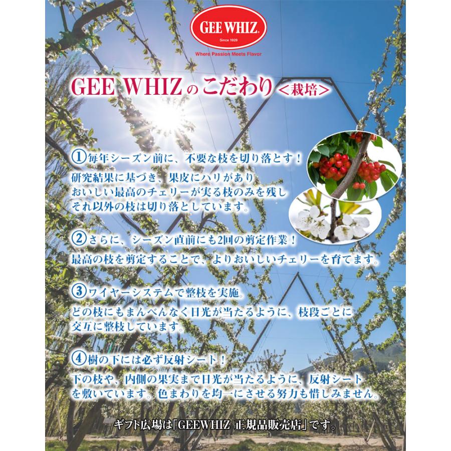 真作保証 長岡卓 「小さい秋」 油彩3号 可愛い猫画 リアリズム