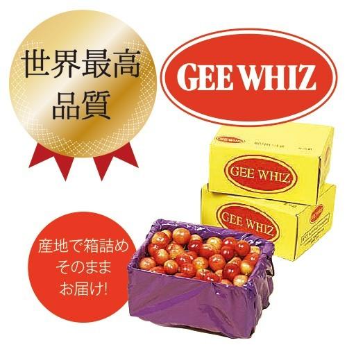 オービル農園 アメリカンチェリー GEE WHIZ 大粒 レイニア