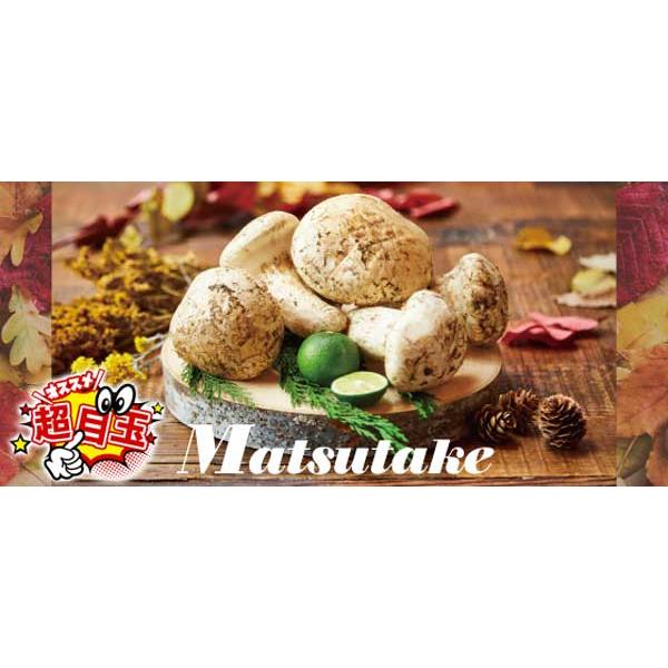 松茸 マツタケ 極上の松茸 約600g(Lサイズ) 北米産(カナダ産 