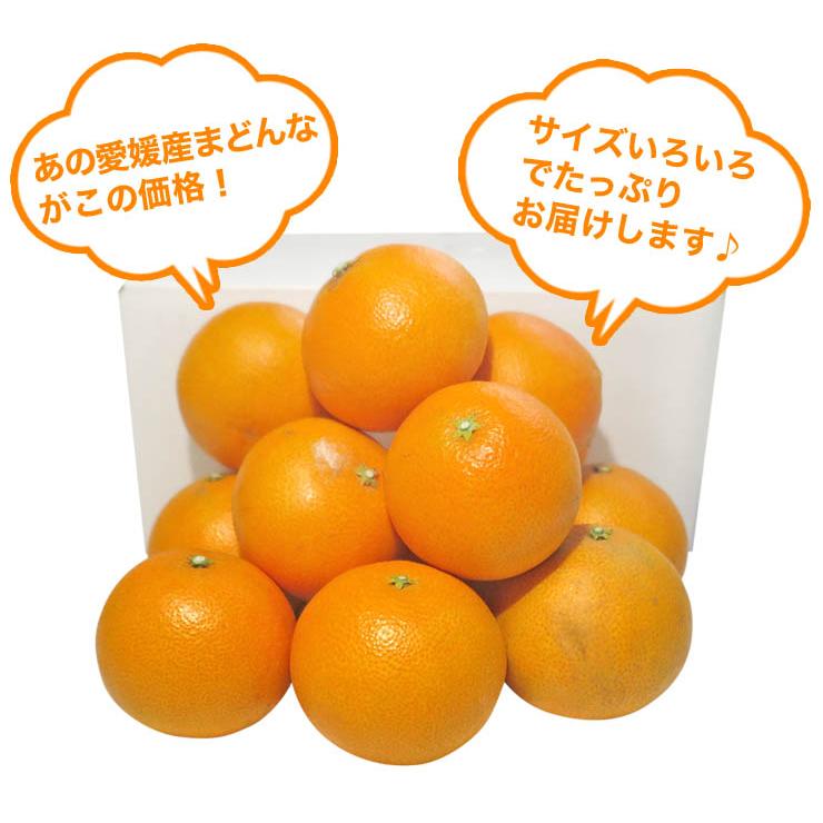570愛果 まどんな 家庭用小玉 10kg (紅まどんな) 小玉 愛まどんな 10kg(愛果28号 みかん アイカ) 訳あり 家庭用 サイズ
