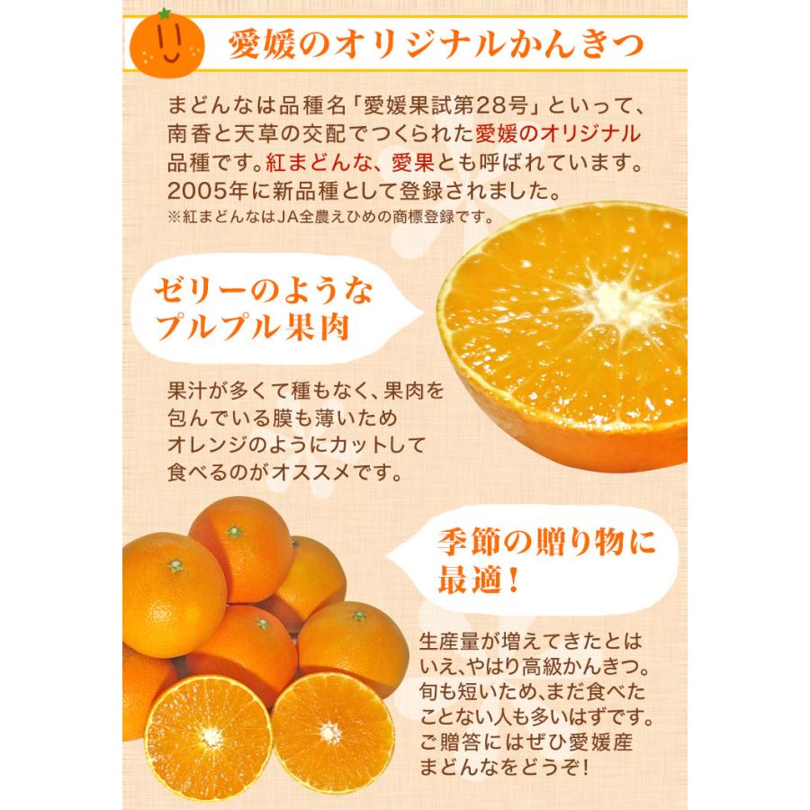 1418愛果 まどんな 家庭用小玉 10kg (紅まどんな) 小玉 愛まどんな 10kg(愛果28号 みかん アイカ) 訳あり 家庭用 サイズ