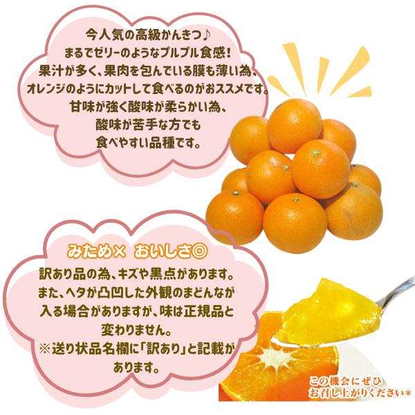 小玉 愛まどんな 10kg(愛果28号 みかん アイカ) 訳あり 家庭用 サイズ