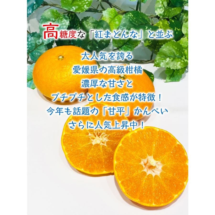 バーゲンSALE 甘平 (かんぺい) みかん 5kg 訳あり 規格外 傷あり 家庭