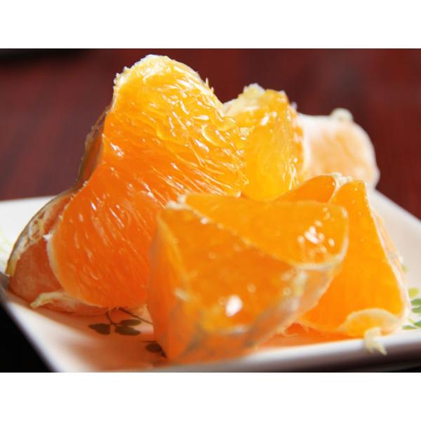 バーゲンSALE 甘平 (かんぺい) みかん 5kg 訳あり 規格外 傷あり 家庭