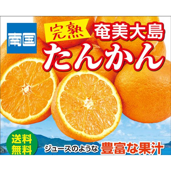 奄美 たんかん みかん 訳あり 10kg 完熟 家庭用 規格外 奄美大島産 サイズお任せ【家庭用】希少柑橘 ギフト 九州応援 南国 フルーツ ...