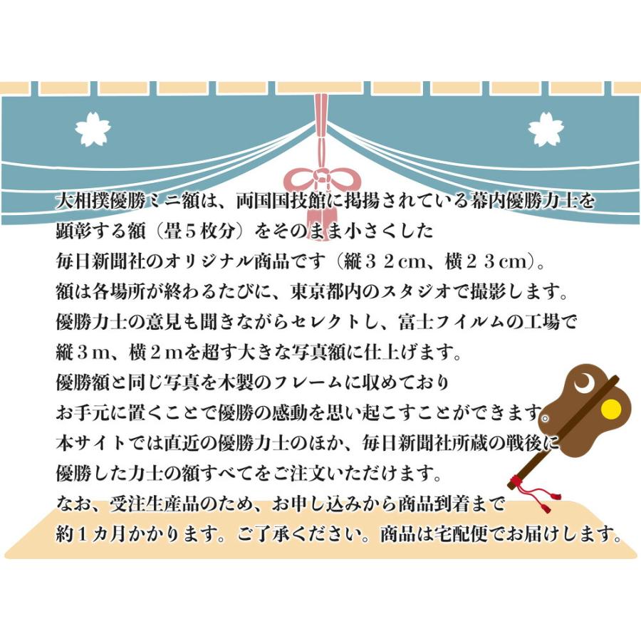 千代の富士優勝額 千代の富士貢関 優勝ミニ額 大相撲ミニ額 大相撲優勝額 昭和56年1月