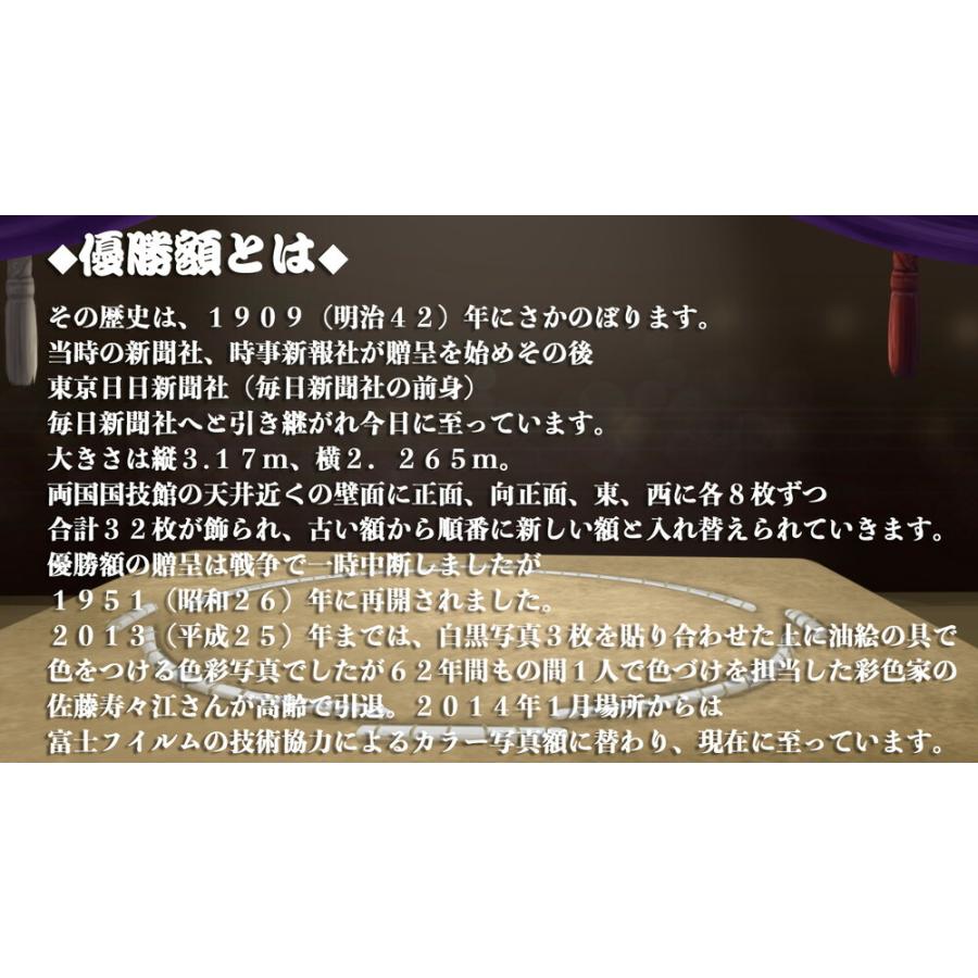 貴乃花光司関　優勝ミニ額 大相撲ミニ額 大相撲優勝額　平成７年１月場所 優勝 横綱 貴乃花光司関（８回目の優勝）｜gift-hiroba｜05