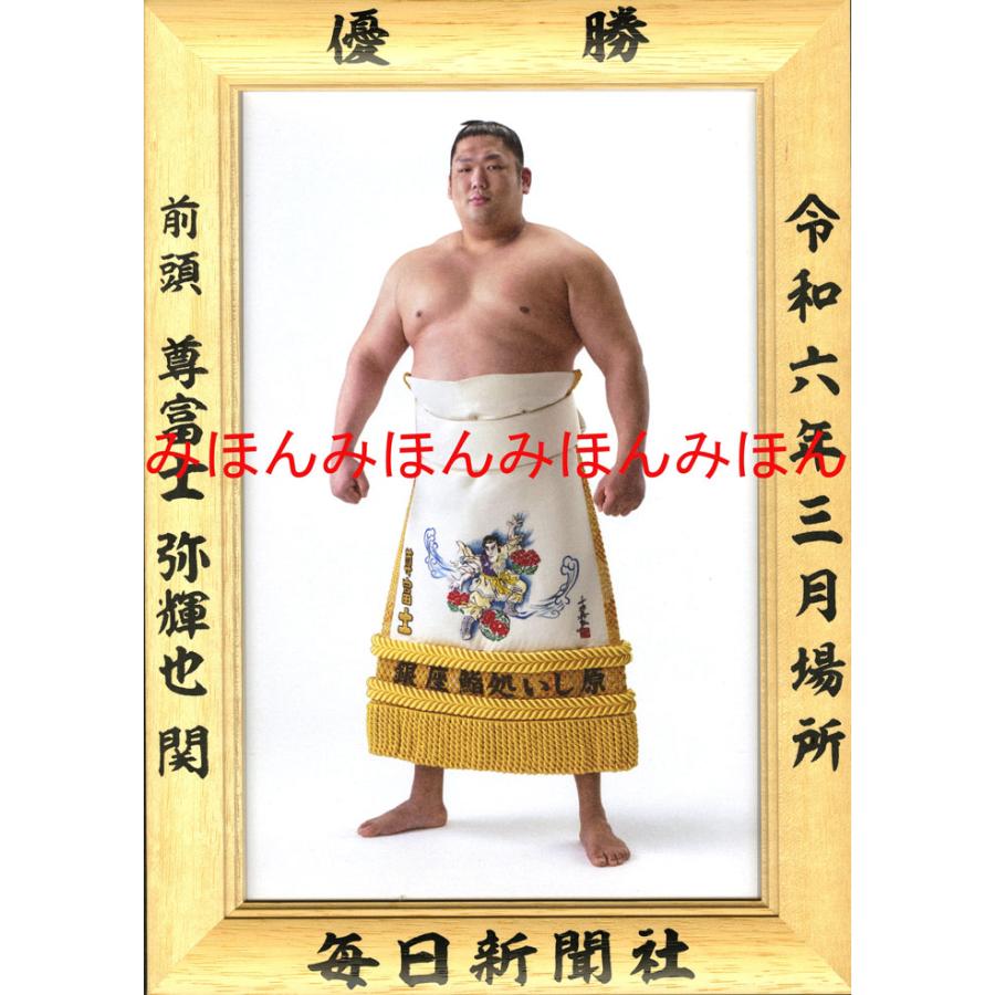 尊富士弥輝也関 優勝ミニ額 大相撲ミニ額 大相撲優勝額 令和6