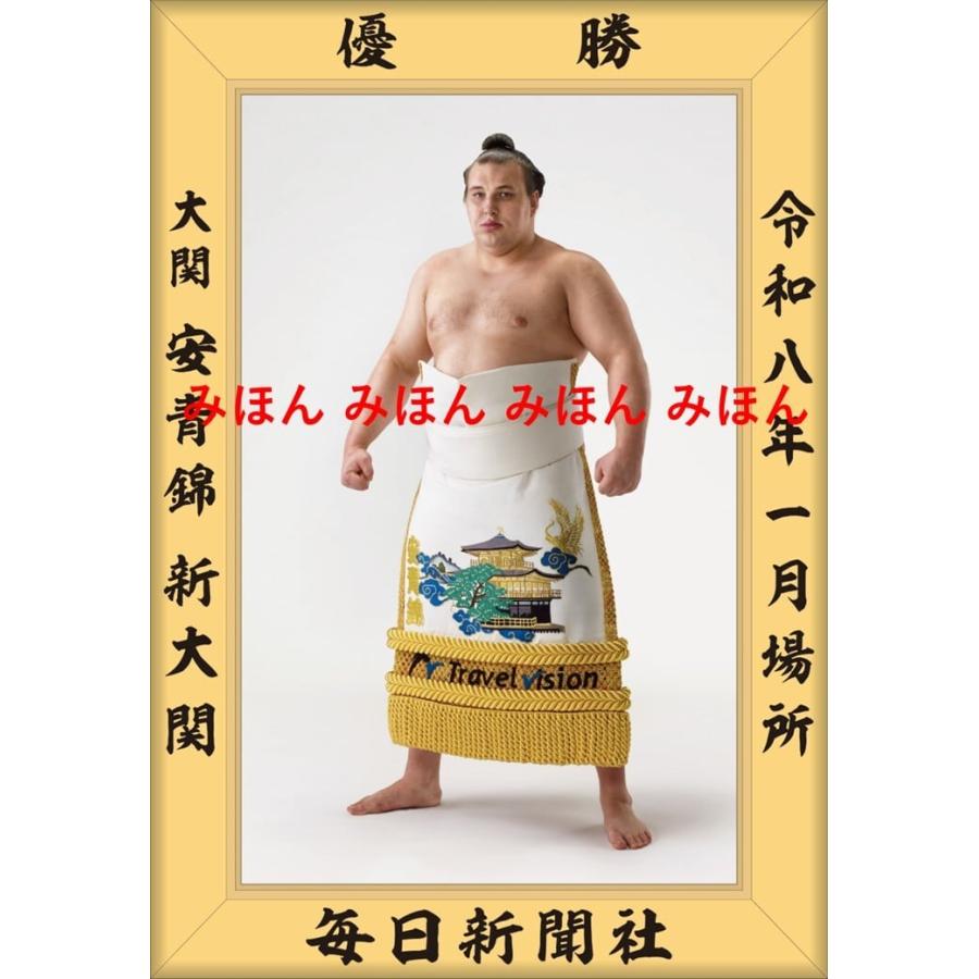大関 稀勢の里 平成29年1月場所 優勝額(ミニチュア) 安青錦 新大 関 優勝ミニ額 大相撲 ミニ額 優勝額 令和8（2026