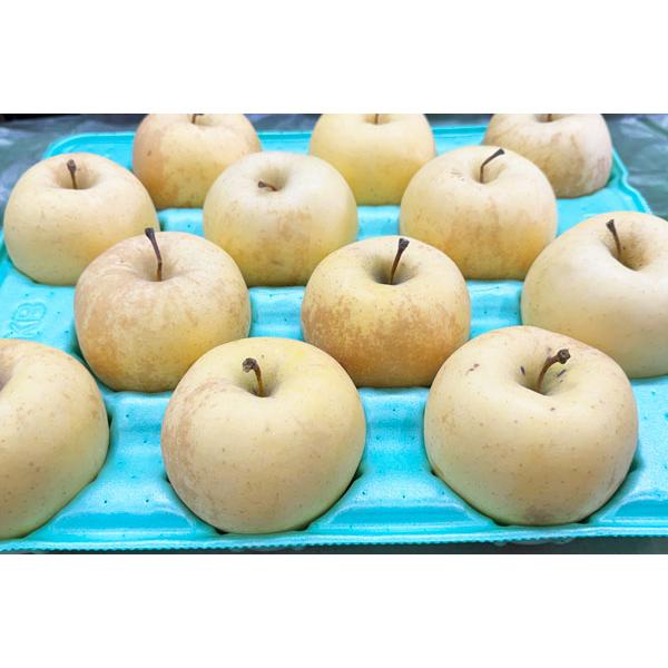 青森県産 ＂ 星の金貨 ＂ りんご 家庭用 10kg 産地直送 リンゴ 林檎 青森りんご 金星 訳あり 家庭用 10kg 林檎 青森県産 金星りんご