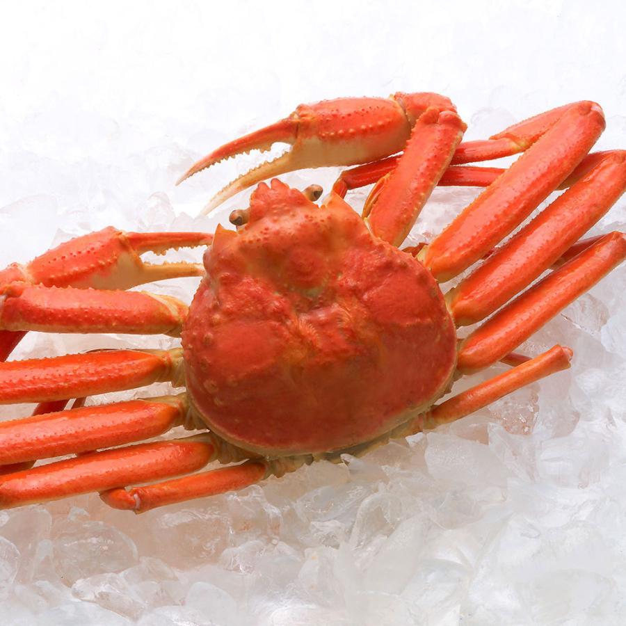 目録 ギフト券 パネルなし／ こだわり産直 カニ かに 北海かにずくし タラバ蟹/毛蟹/ずわい蟹 目録 景品 表彰 二次会 婚礼 忘年会 ビンゴ コンペ 目録 カニ かに 北海かにずくし 毛蟹350g ずわい蟹500g冷たい海で大きく育ったタラバかに 繊細な身がギュッと詰まり 濃厚かつ甘いカニみそがたっぷり入っている毛ガニ 繊細で甘みが特徴のずわい蟹
