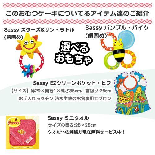 Sassy 2段 ビブ おむつケーキ 出産祝い 名入れ刺繍 オムツケーキ 名前入り タオル おもちゃ エプロン ギフト 誕生日 端午の節句 プレゼント サッシー｜gift-one｜03