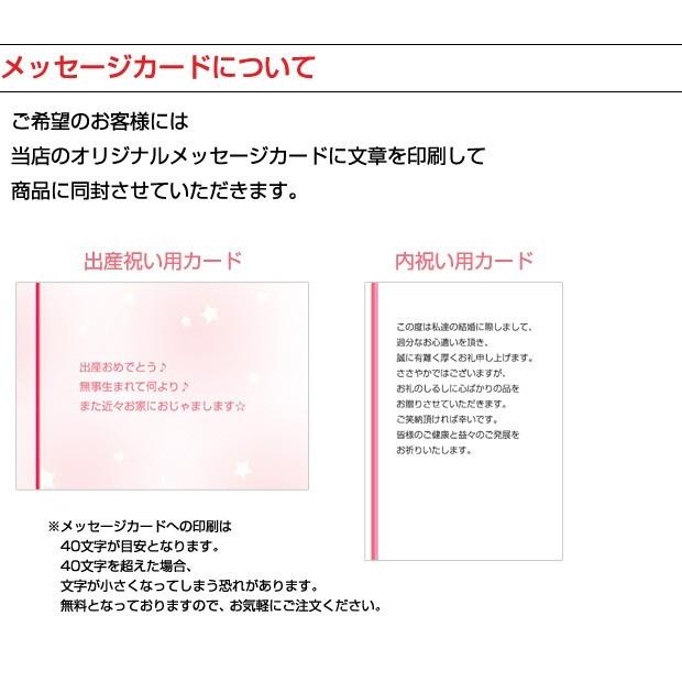 フォトアルバム 出産祝い 出産祝 となりのトトロ ネコバス 初めての
