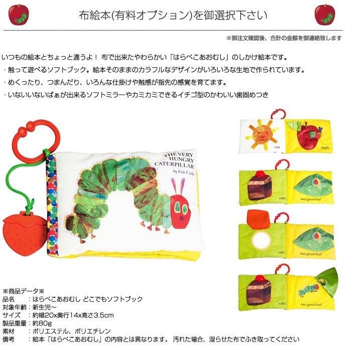 安いそれに目立つ はらぺこあおむし あおむし おむつケーキ セット カタログ ギフト エリックカール おむつ タオル ハーモニック にこにこ 御出産祝い お祝い 誕生日祝い 名入れ メール便なら送料無料 Www Iniciatupyme Cl