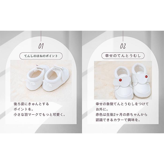 手づくりのファーストシューズ footdream フットドリーム FD-01 てんしのはね てんとうむし 12.0cmの画像