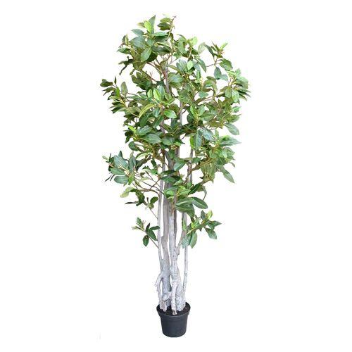 珍しい 光触媒 人工観葉植物 マングローブ 170ｃｍ フェイクグリーン 新築祝い 開業祝い 開店祝い インテリア 手数料安い Www Maxipiso Com Ar