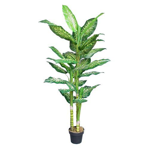 ショッピング販売品 光触媒 人工観葉植物 ディフェンバキア 165ｃｍ フェイクグリーン 新築祝い 開業祝い 開店祝い インテリア セレクトオーダー Www Voedselbankdordrecht Nl