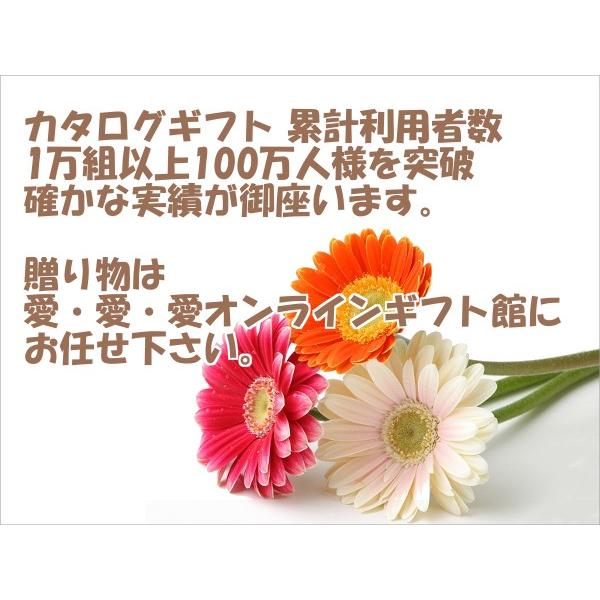 カタログギフト Presentage プレゼンテージ 10900円コース ノクターン  贈り物,お返し,引出物(ポイント10倍)(ネコポス対応)の画像