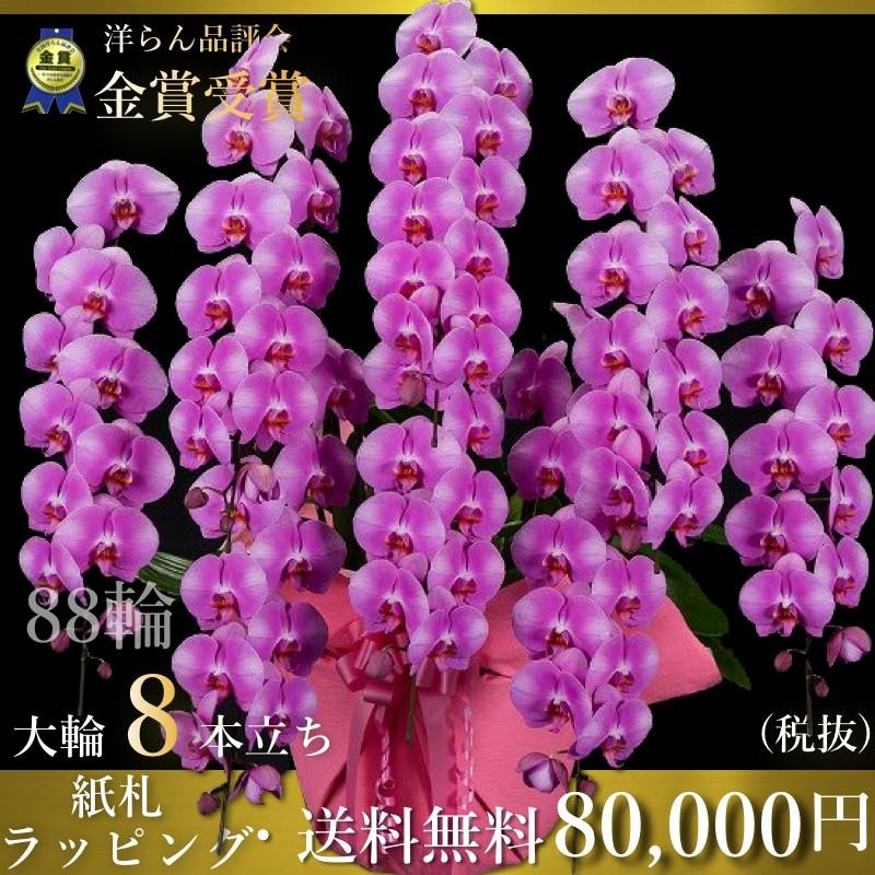 胡蝶蘭8本立ち 胡蝶蘭 コチョウラン 胡蝶蘭8本立ち大輪 開店祝い 還暦祝い お祝い 胡蝶蘭 生花 8本立ち 胡蝶蘭 ギフトフラワー胡蝶蘭専門店の胡蝶蘭8本立ち 胡蝶蘭 コチョウラン 胡蝶蘭8本立ち大輪 開店祝い 還暦祝い お祝い 胡蝶蘭 送料無料 お祝い花 開店祝い お祝い花
